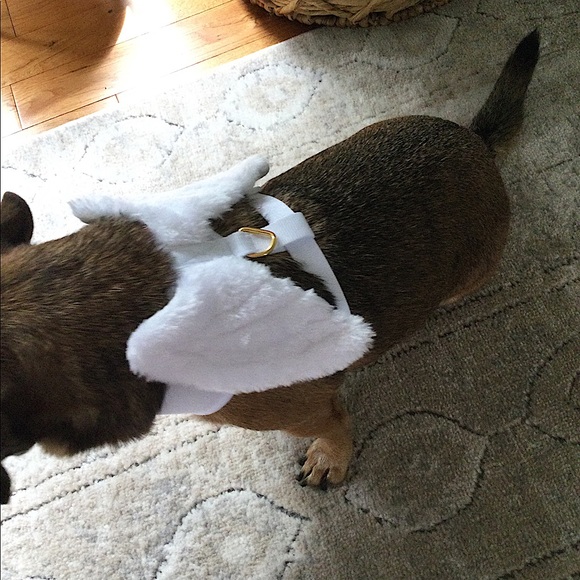 Furry Angel Wings Harness & Red Bling Collar & Leash set - Picture 4 of 10